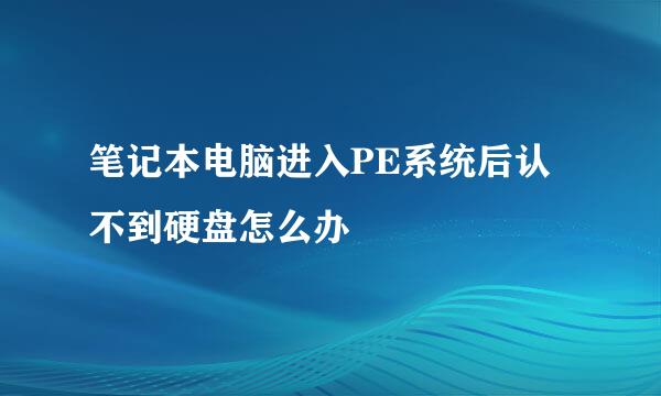 笔记本电脑进入PE系统后认不到硬盘怎么办