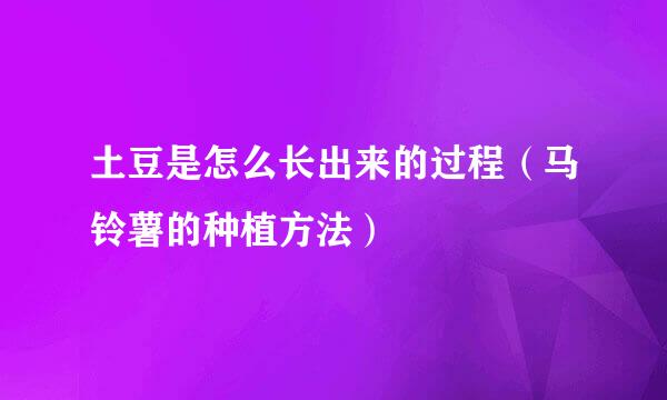 土豆是怎么长出来的过程（马铃薯的种植方法）