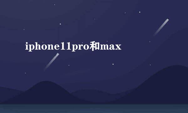 iphone11pro和max