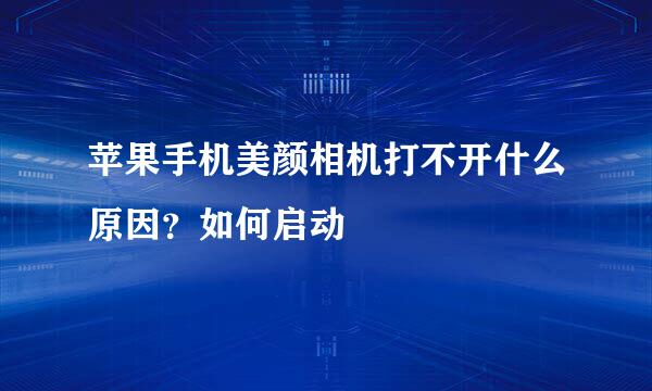苹果手机美颜相机打不开什么原因？如何启动