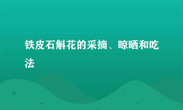 铁皮石斛花的采摘、晾晒和吃法