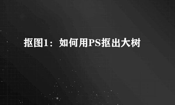抠图1：如何用PS抠出大树
