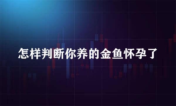怎样判断你养的金鱼怀孕了