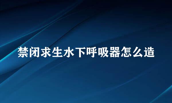 禁闭求生水下呼吸器怎么造