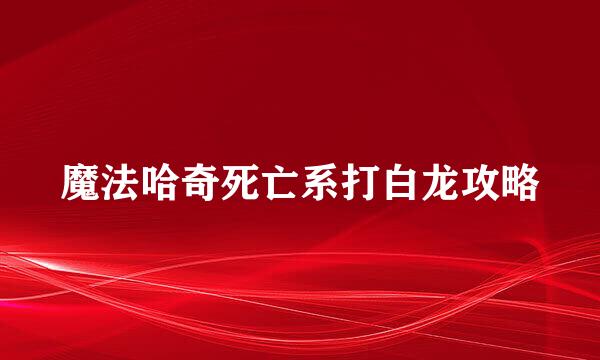 魔法哈奇死亡系打白龙攻略