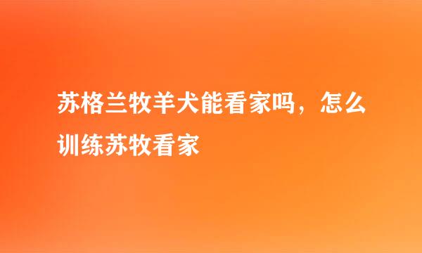 苏格兰牧羊犬能看家吗，怎么训练苏牧看家