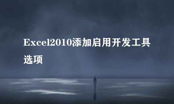 Excel2010添加启用开发工具选项
