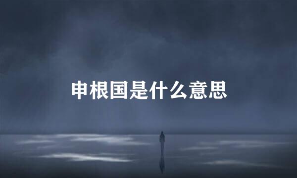 申根国是什么意思