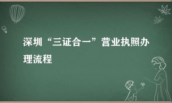 深圳“三证合一”营业执照办理流程