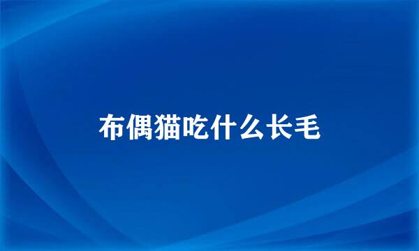 布偶猫吃什么长毛