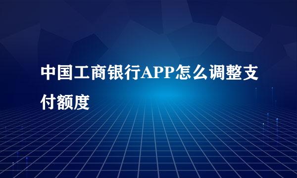 中国工商银行APP怎么调整支付额度
