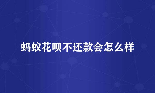 蚂蚁花呗不还款会怎么样