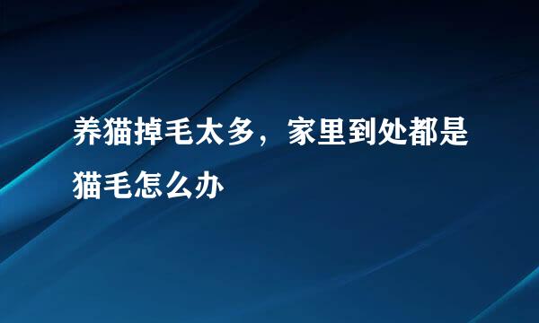 养猫掉毛太多，家里到处都是猫毛怎么办