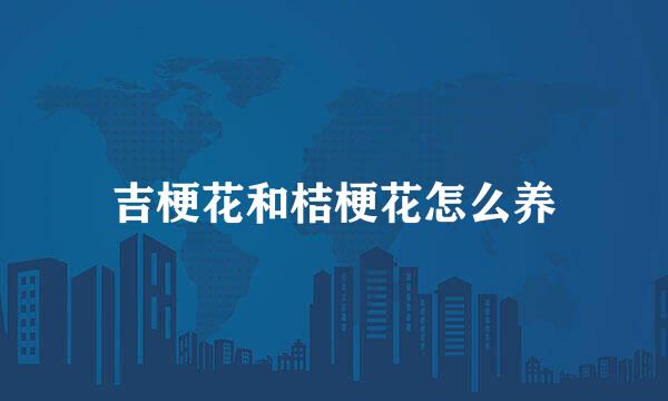 吉梗花和桔梗花怎么养