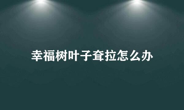 幸福树叶子耷拉怎么办