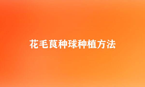 花毛茛种球种植方法