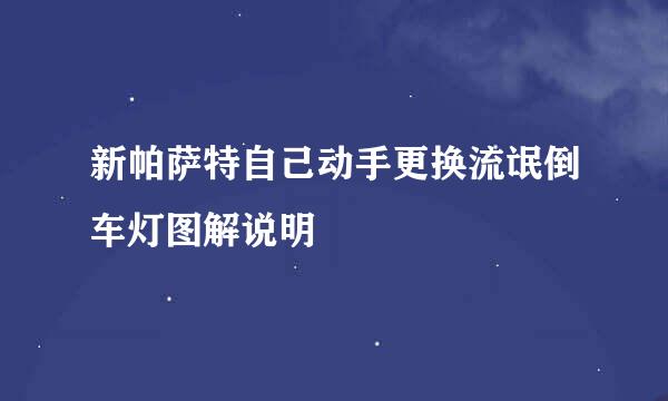 新帕萨特自己动手更换流氓倒车灯图解说明