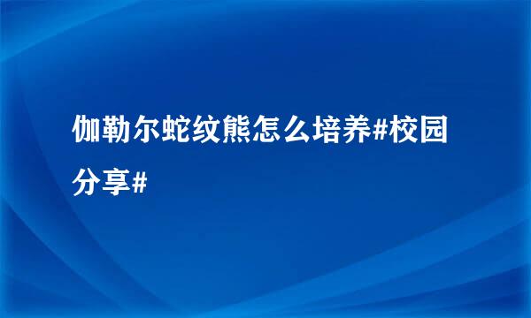 伽勒尔蛇纹熊怎么培养#校园分享#