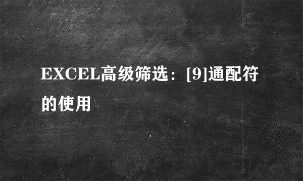 EXCEL高级筛选：[9]通配符的使用