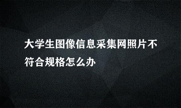 大学生图像信息采集网照片不符合规格怎么办
