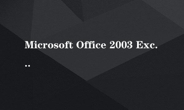Microsoft Office 2003 Excel中给文本排名