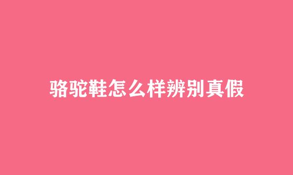 骆驼鞋怎么样辨别真假