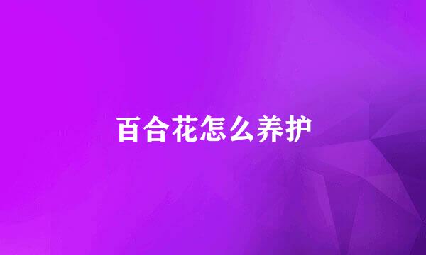 百合花怎么养护