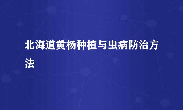 北海道黄杨种植与虫病防治方法