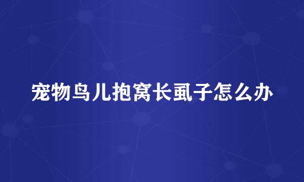 宠物鸟儿抱窝长虱子怎么办