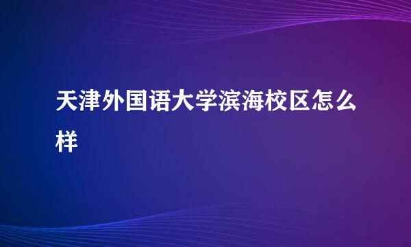 天津外国语大学滨海校区怎么样