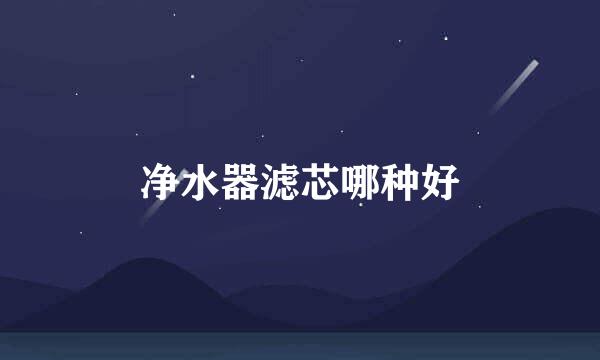 净水器滤芯哪种好