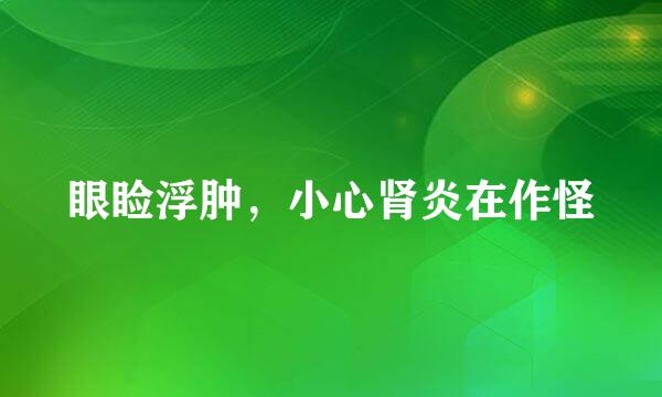 眼睑浮肿，小心肾炎在作怪