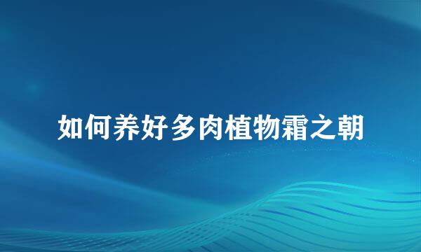 如何养好多肉植物霜之朝