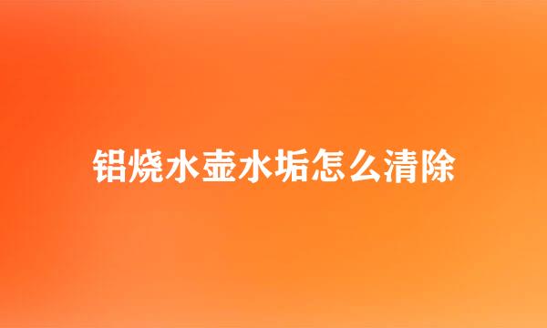 铝烧水壶水垢怎么清除