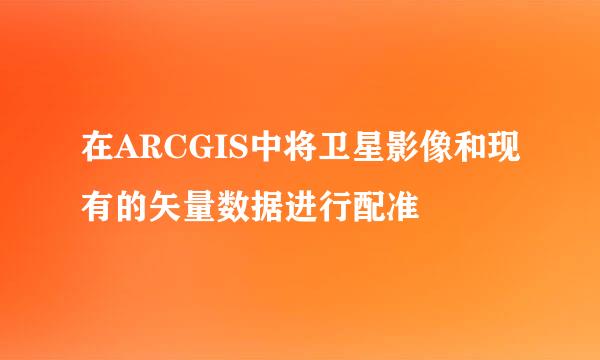 在ARCGIS中将卫星影像和现有的矢量数据进行配准
