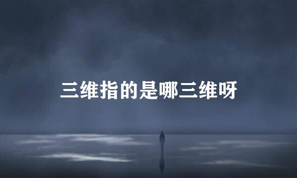 三维指的是哪三维呀