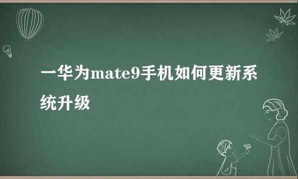一华为mate9手机如何更新系统升级