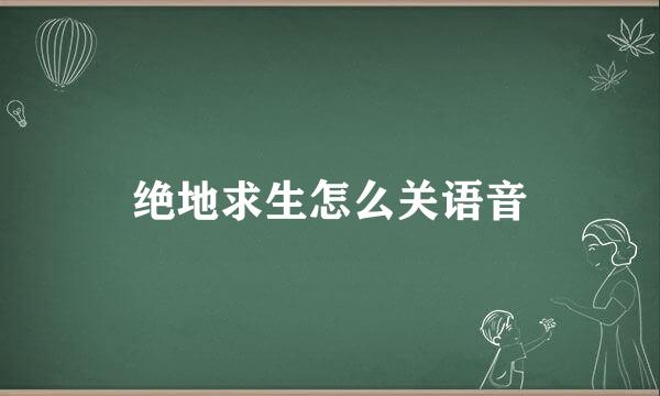 绝地求生怎么关语音