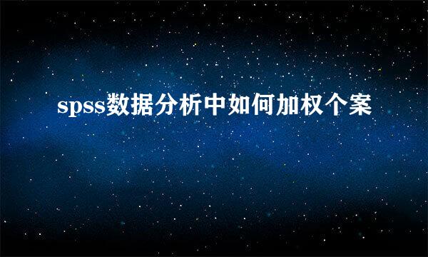 spss数据分析中如何加权个案
