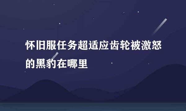 怀旧服任务超适应齿轮被激怒的黑豹在哪里