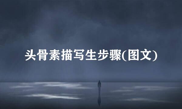 头骨素描写生步骤(图文)