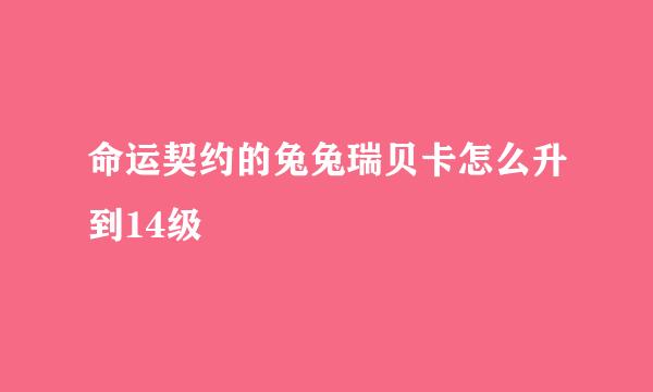 命运契约的兔兔瑞贝卡怎么升到14级