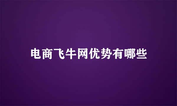 电商飞牛网优势有哪些