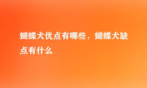 蝴蝶犬优点有哪些，蝴蝶犬缺点有什么