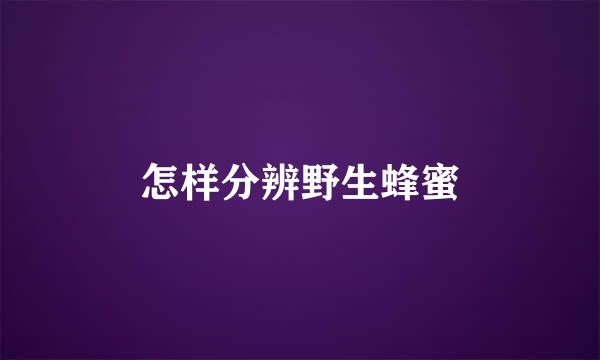 怎样分辨野生蜂蜜