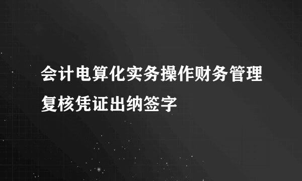 会计电算化实务操作财务管理复核凭证出纳签字