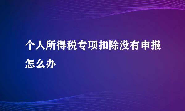 个人所得税专项扣除没有申报怎么办